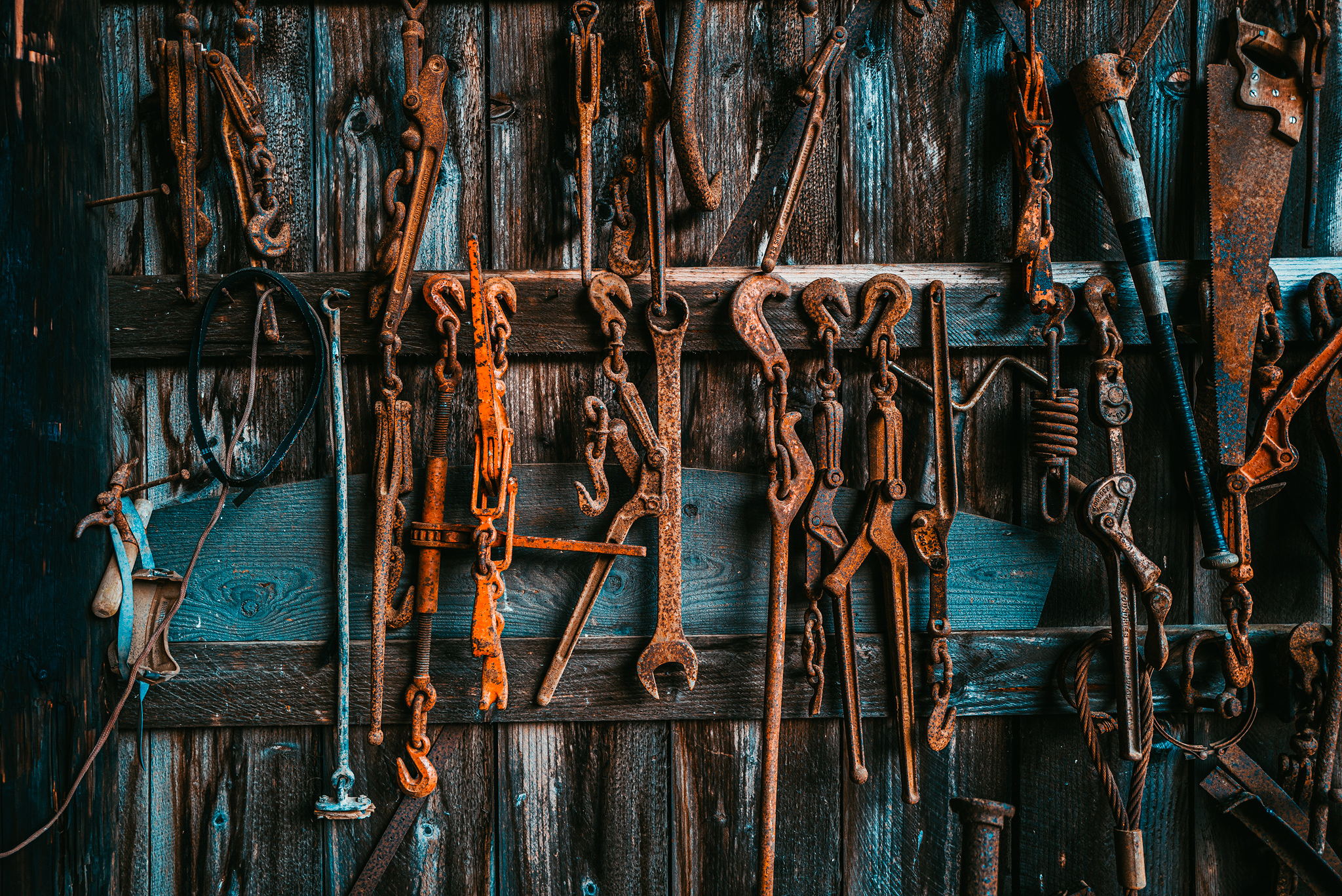rusty and worn tools hang on a wall in a shed.