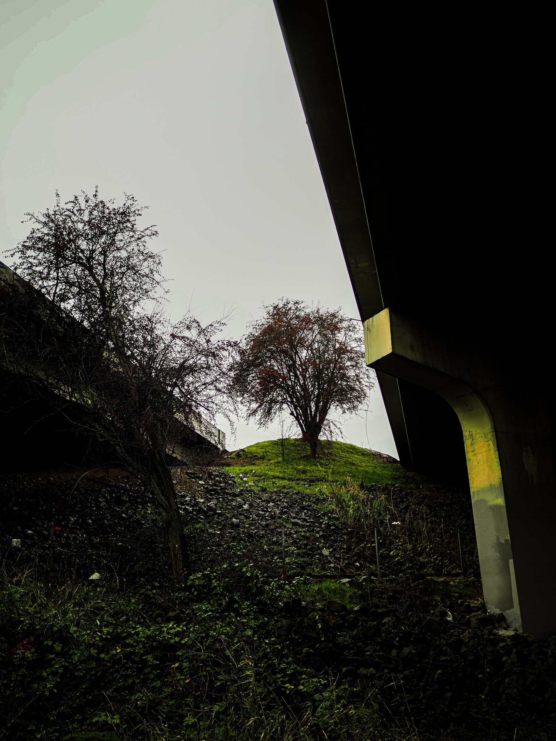 Beneath a bridge, two leafless trees stand on a grassy, rocky embankment against a gray sky.