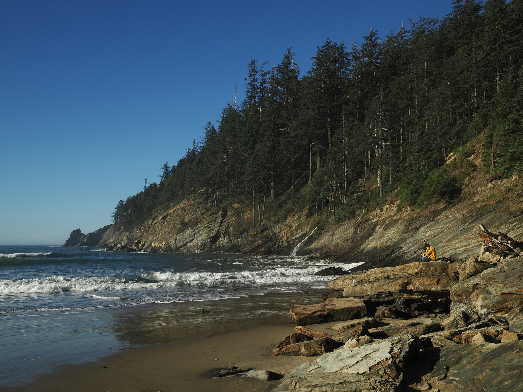 A person sits on rocky outcrops by a tranquil beach with waves lapping against the shore, bordered by a dense forest.